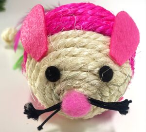 Cat Toy