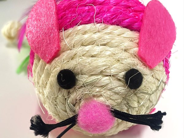 Cat Toy