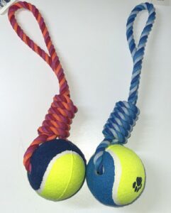 Dog Toy