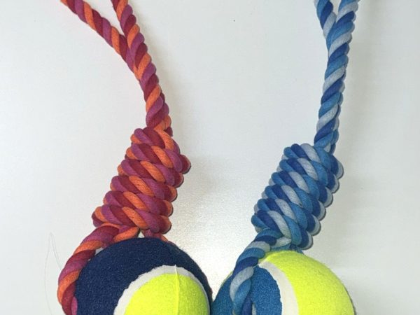 Dog Toy