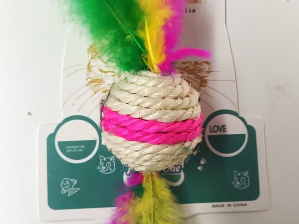 Cat Toy614182