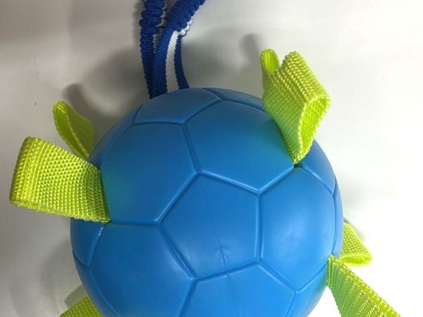 Dog toy 613657