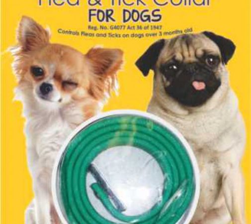 Daro Tick & Flea Collar Small Dog 40cm