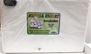 Incubator