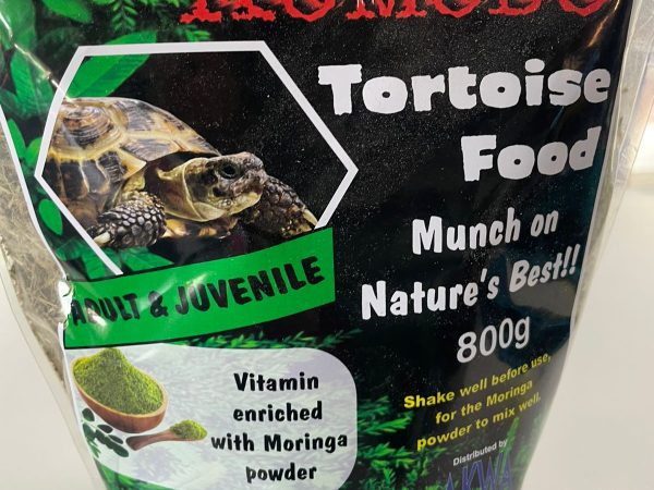 Komodo Tortoise Food