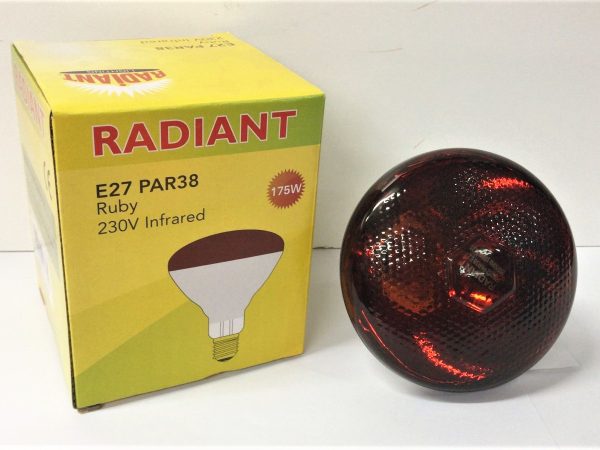 Radiant Infra Red 175W