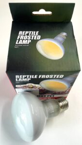 Reptile Frosted Lamp