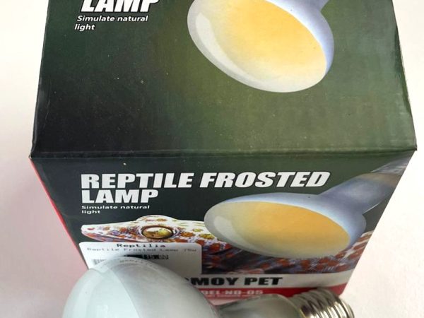 Reptile Frosted Lamp