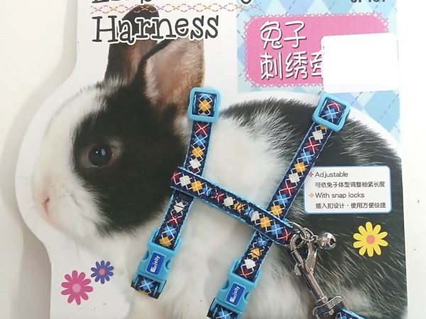 Small Animal Embroidery Harness & Lead