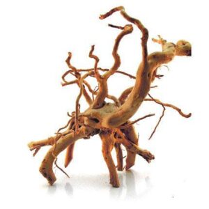 Spider Wood
