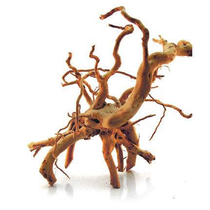 Spider Wood