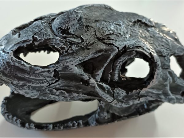 T Rex Skull 20x10x14cm