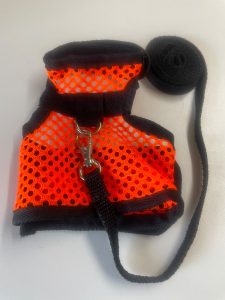 Chinchilla Harness
