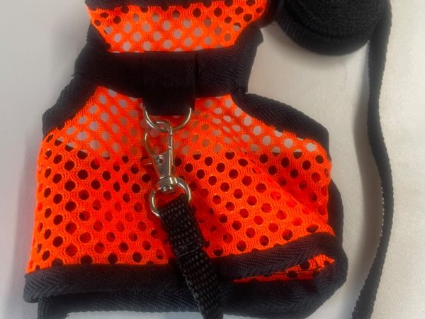 Chinchilla Harness