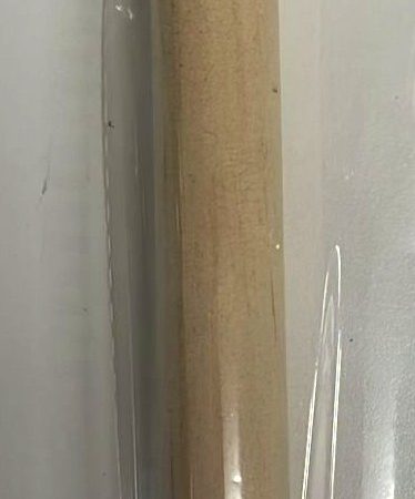 Bird Toy