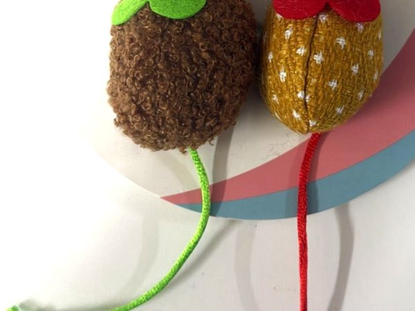 Cat Toy