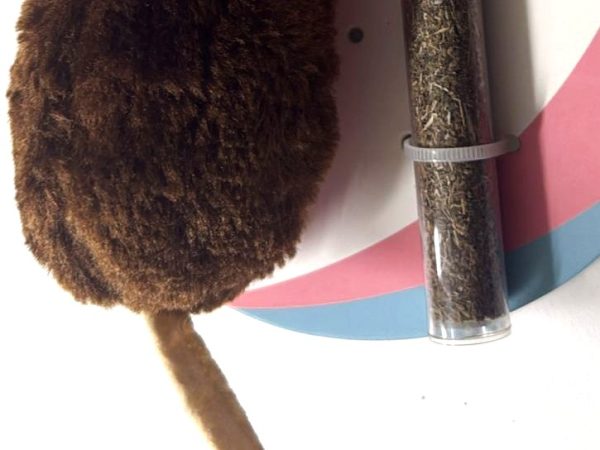 Cat Nip Toy