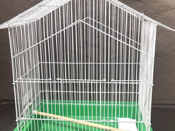 Daphne Bird Cage