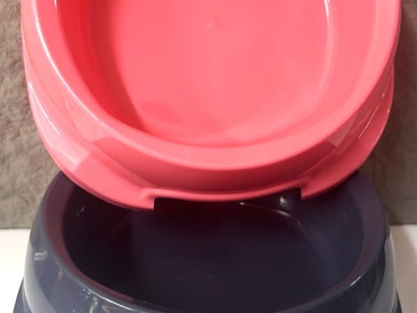Dog Bowl