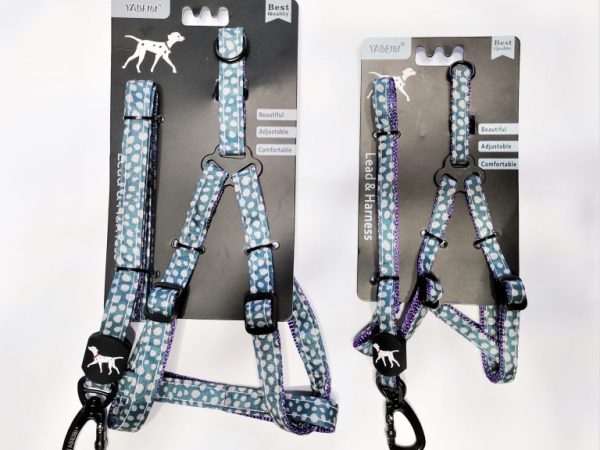 Dog Lead & Harness