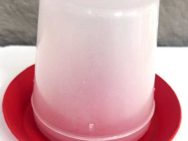 Aviary Water Fonts