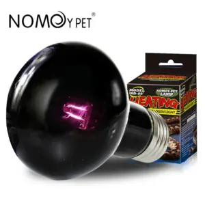 Halogen Night Lamp