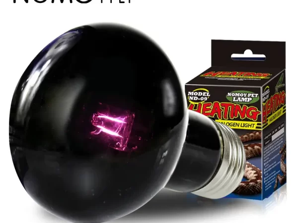 Halogen Night Lamp