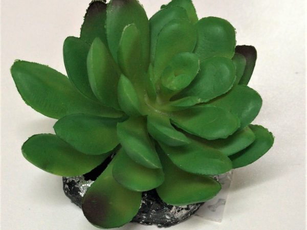 Artificial Plant - 147326