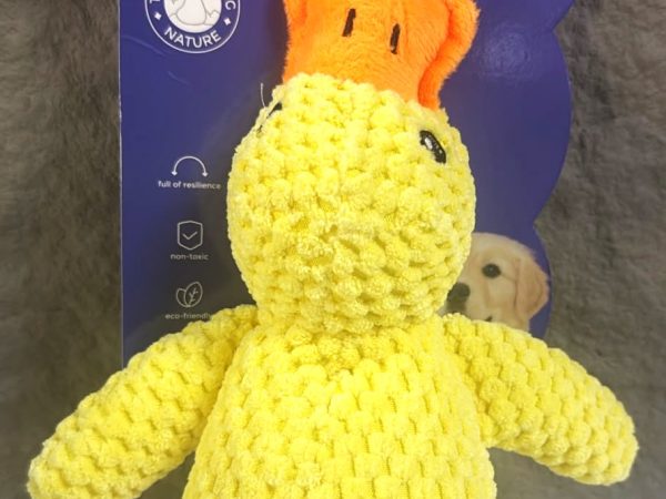 Dog Plush toy 614276