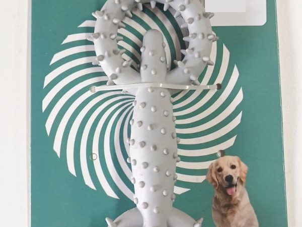 Dog Toy 614267