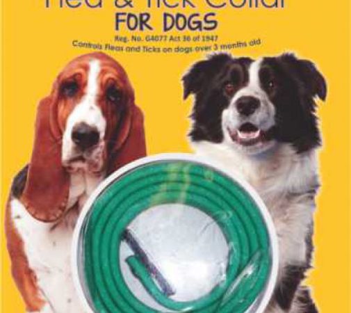 Daro Flea & Tick Collar Med dog 55cm
