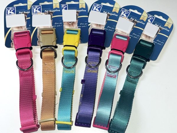 Dog Collar n603818- 2.5cm