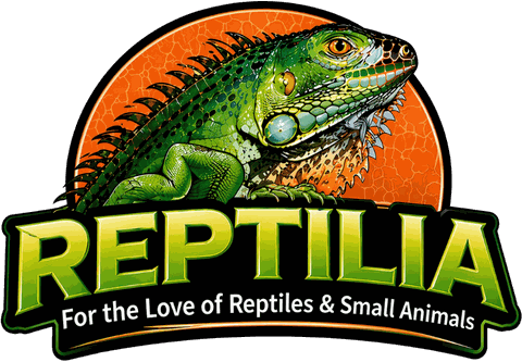 Reptilia — for the love of reptiles and small animals