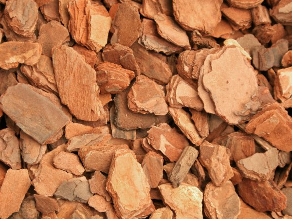 Bark Large Chips