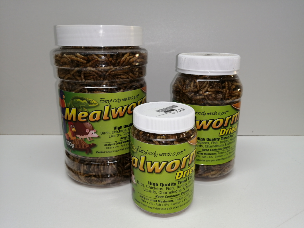 Needapet dried Mealworms Exotic Pet Store